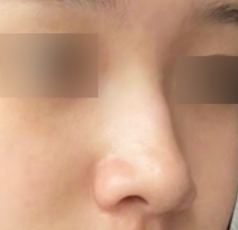 [Хамрын] Garib - Хамар