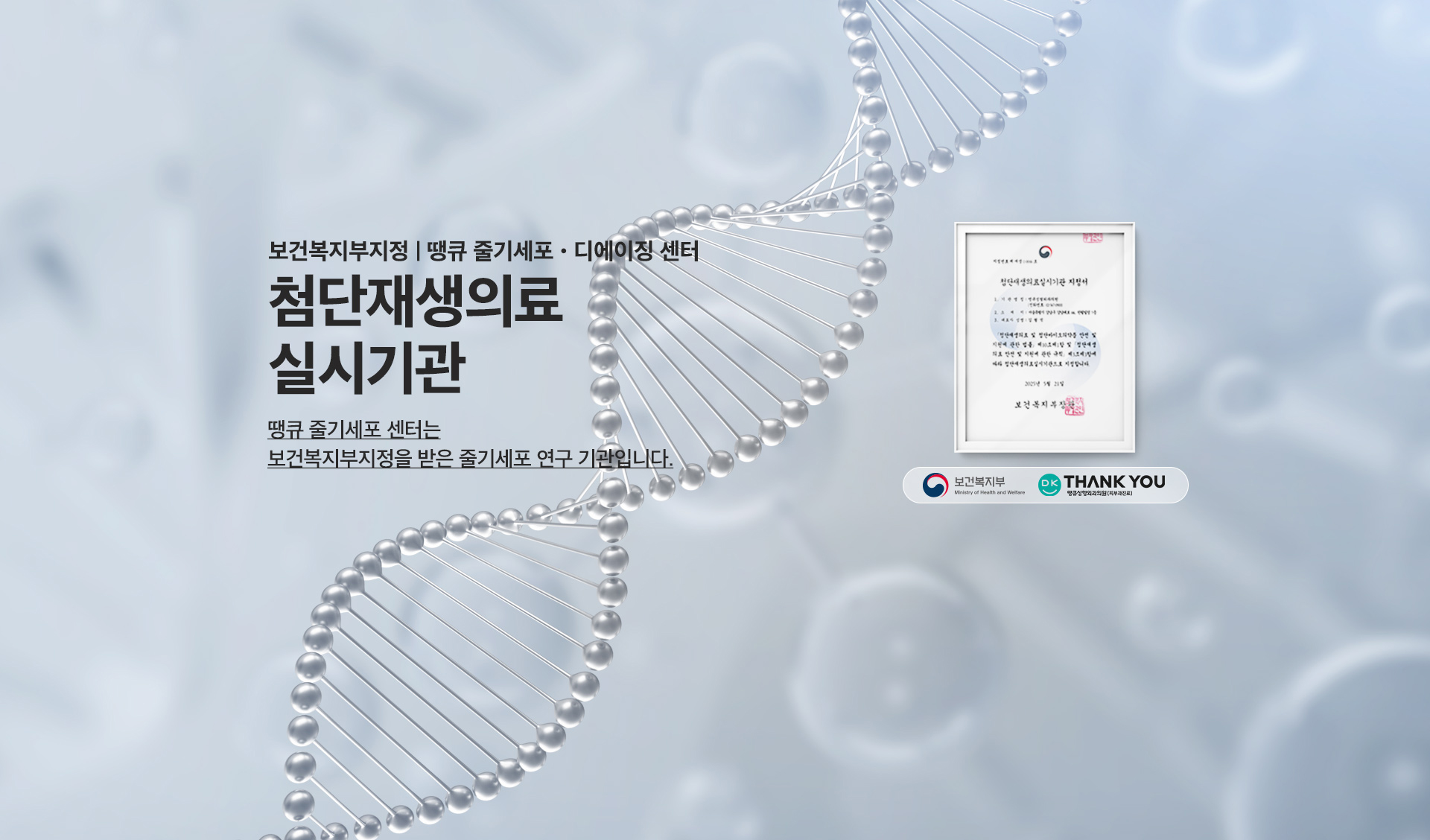 サンキュー整形外科 - 写真 14