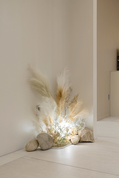 オールリティング美容外科 - 写真 4