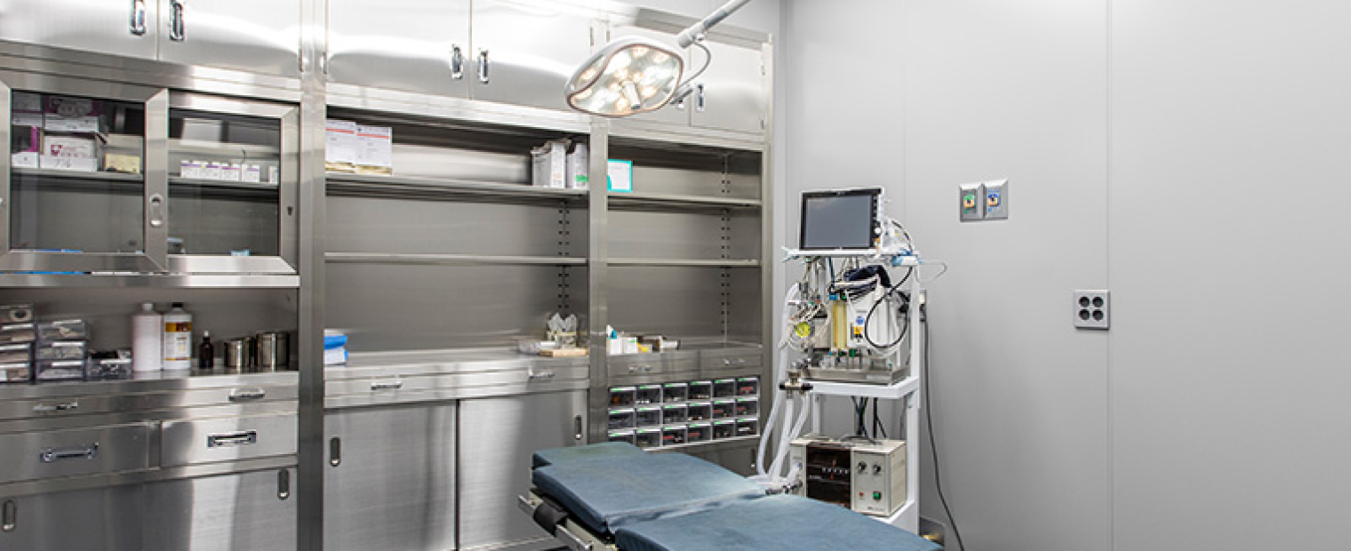 DA整形外科 - 写真 3